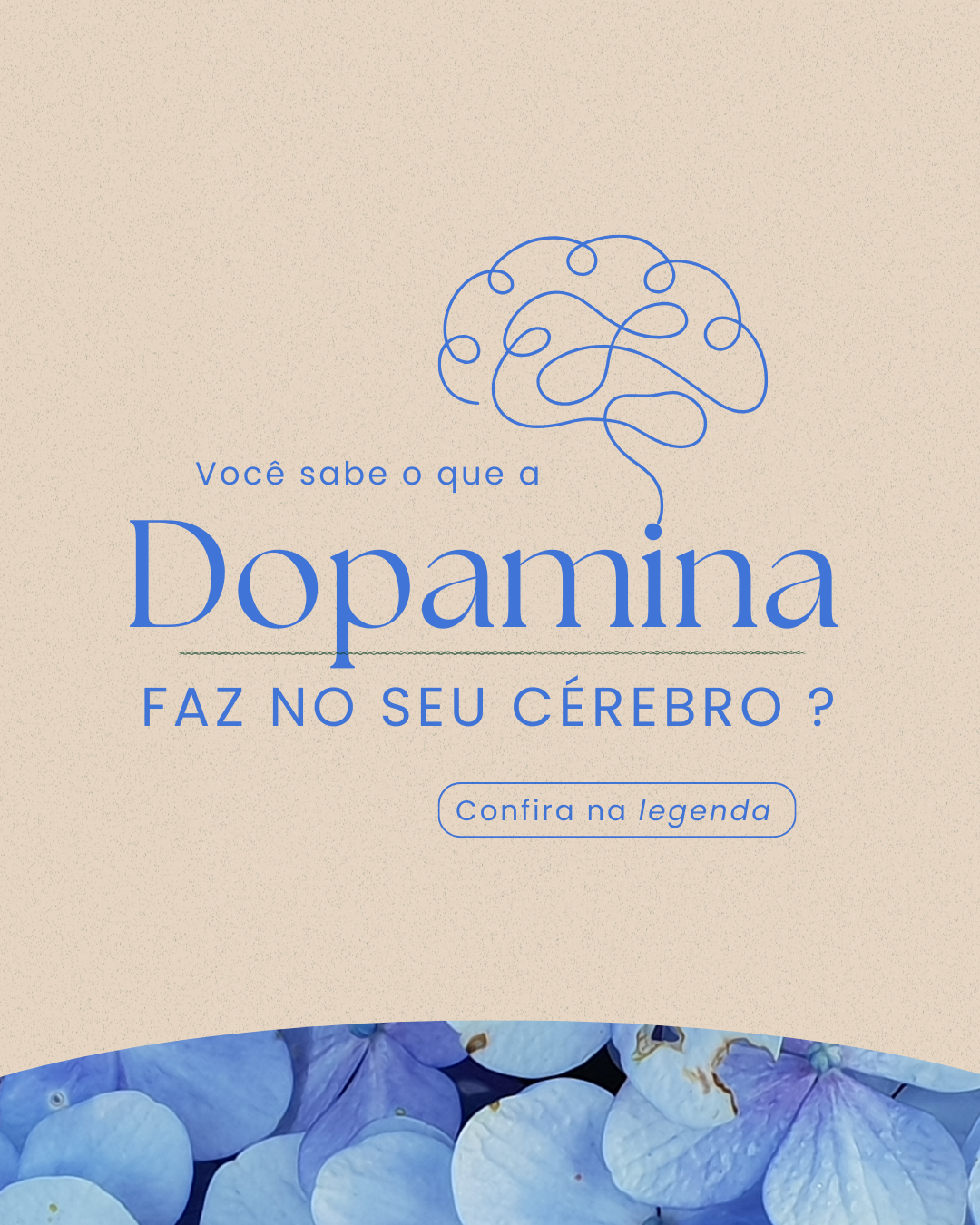 Educativo (2)